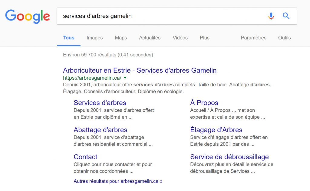 Capture de recherche Google de Services arbres Gamelin